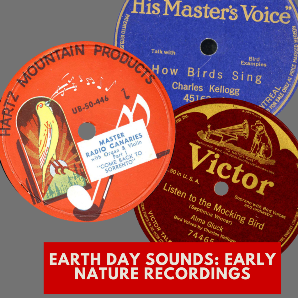 Vintage record labels featuring bird and nature recordings